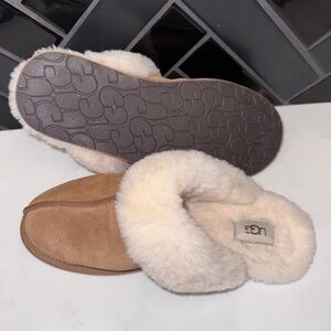Ugg Slippers
